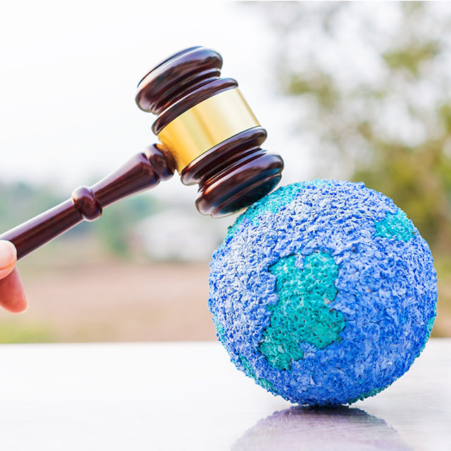 Global Environmental Law and Governance