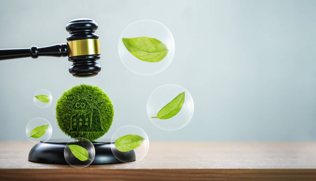 Carbon Markets Explained: Compliance Schemes vs. Voluntary Offsets